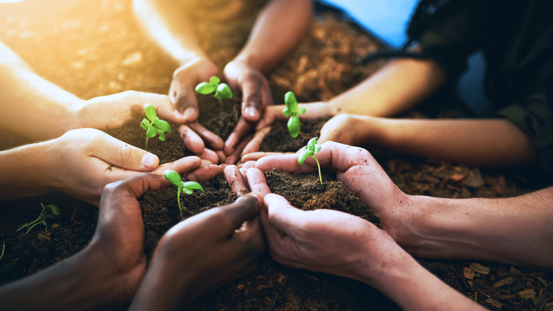 formazione-sostenibilità-ESG-corso-conoscere-la-sostenibilità