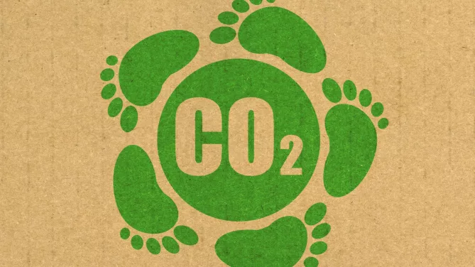 impronta di carbonio