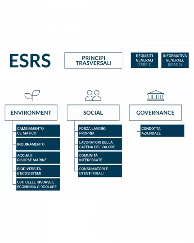 struttura standard ESRS